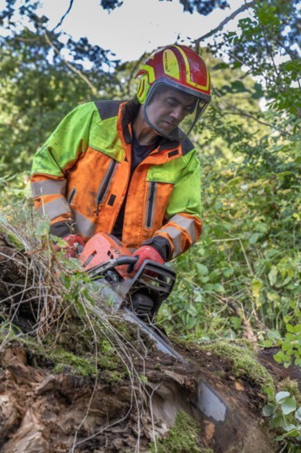 Man in protective clothing operating chainsaw