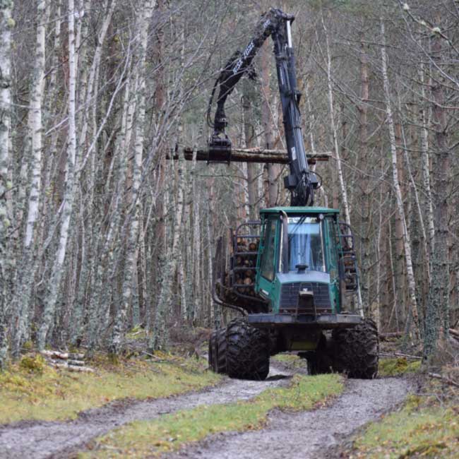 Timber forwarder working in a Scottish birch woodland