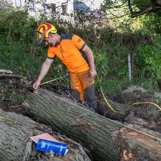 Timber harvester measuring logs to calculate their volume