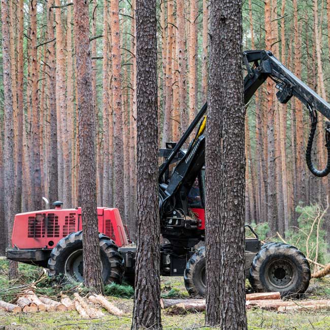 Timber harvesting machine working in a Scottish forest