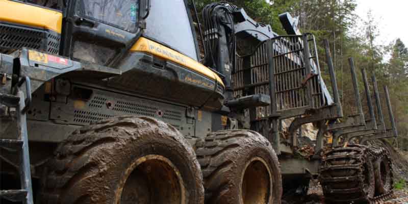 Timber forwarding machine in an Aberdeenshire woodland
