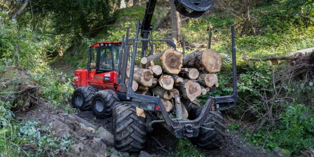 Timber harvesting in a confined location in Aberdeen