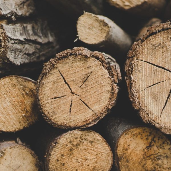 andrik-langfield-2OzdX7F9XPs-unsplash Ends of logs stacked ready for collection