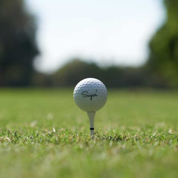golf-hero-1600px golf ball sitting on a tee taken at ground level