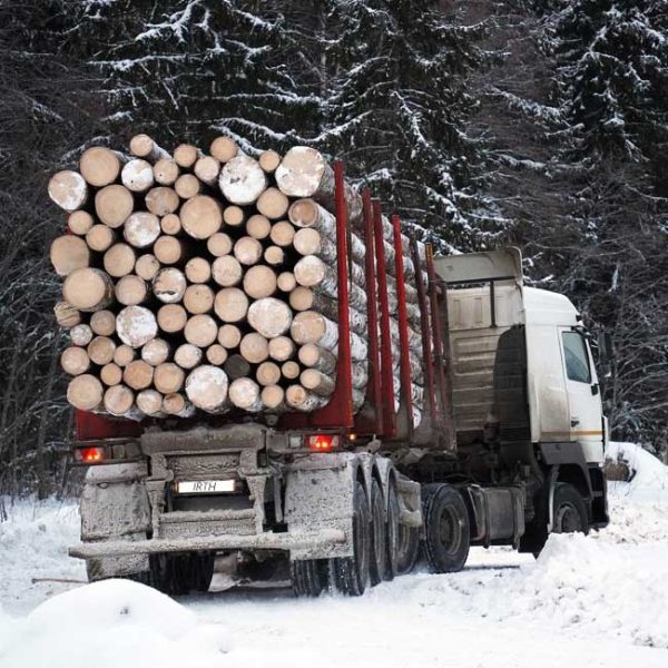 timber-haulage-650px Articulated lorry hauling sawn timber along a snow covered road